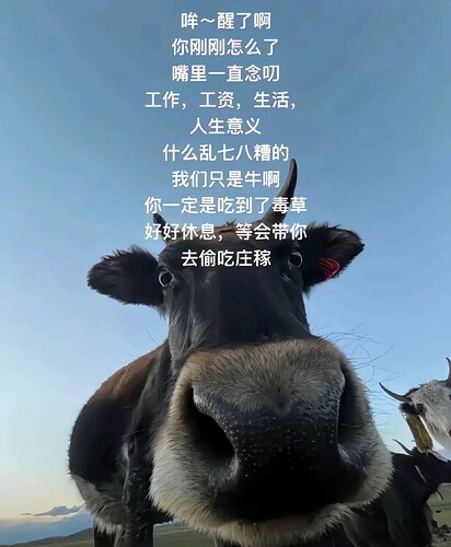 comment_d118bf2e8cd67563870d233f1fe62c30_edit_2006877582223458