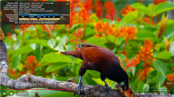 Snipaste_2025-11-10_22-56-39